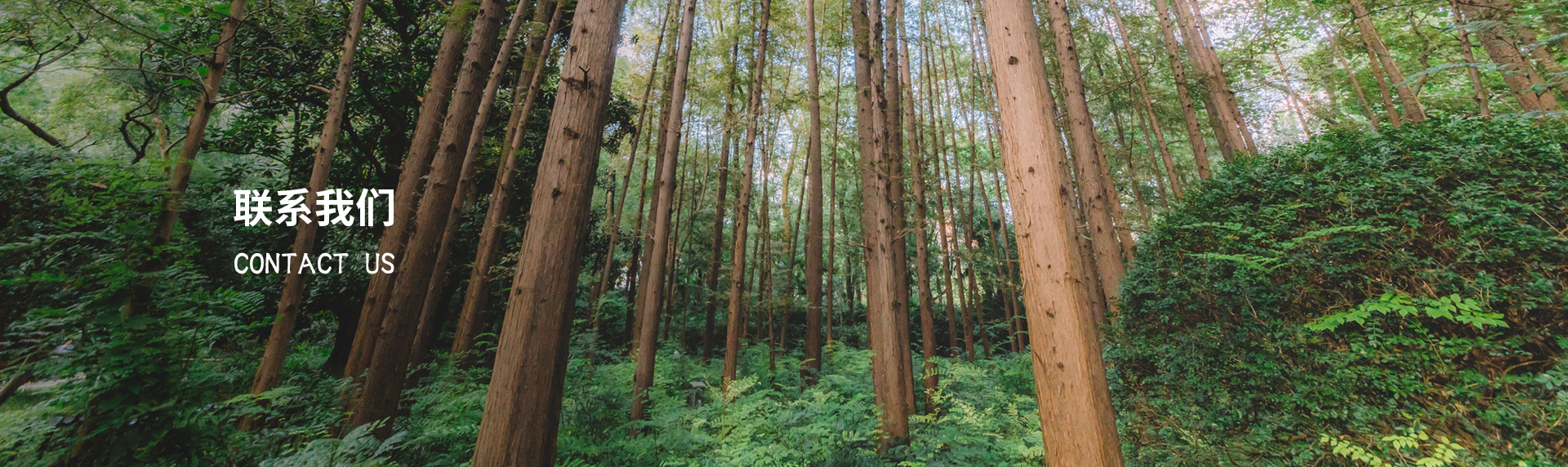 广州市森荣木制品有限公司